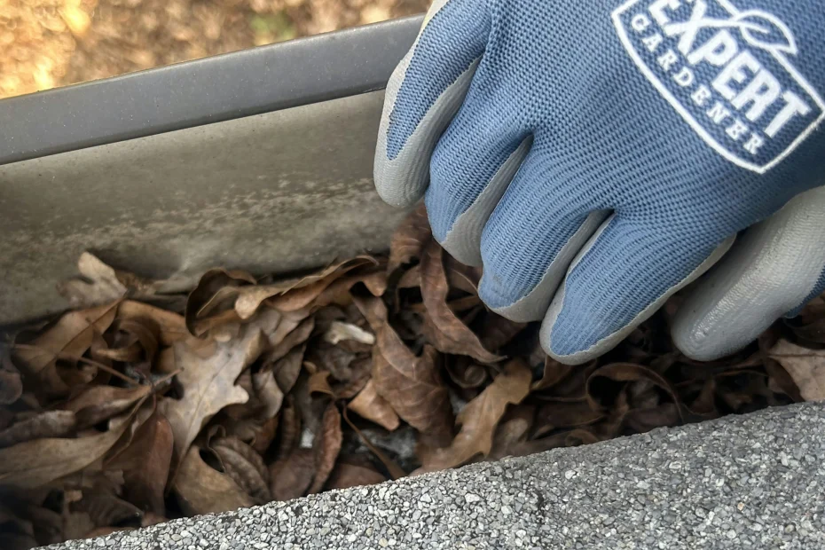 Gutter Cleaning Hampton VA