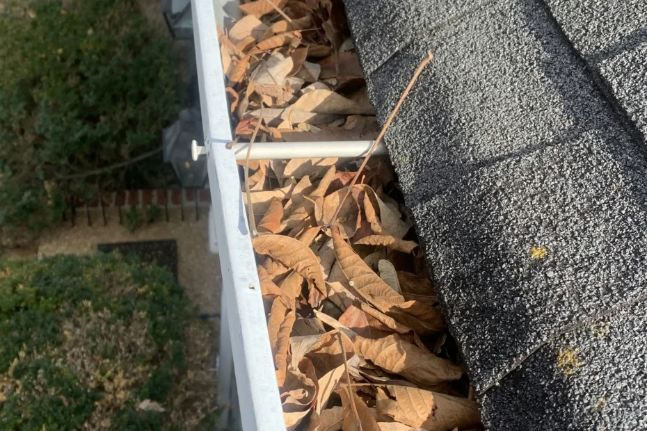 Gutter Cleaning Hampton VA