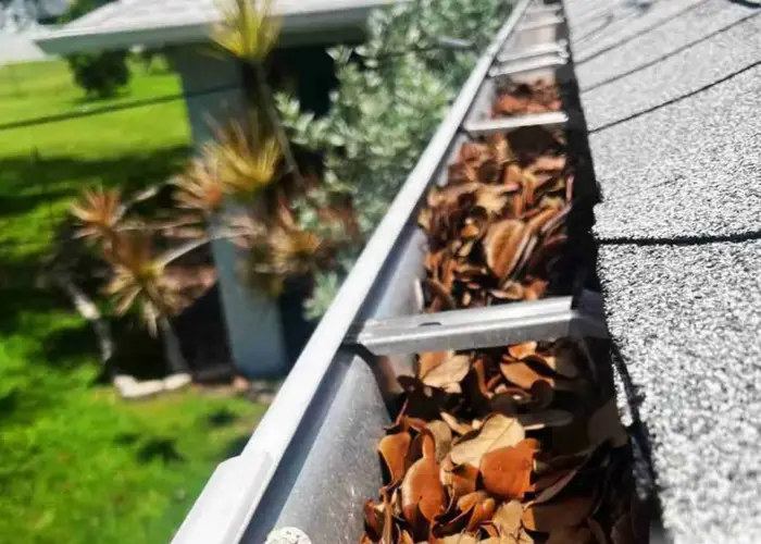 Gutter Cleaning Hampton VA home page